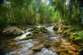 Cairns Rainforest Retreats